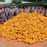 Customs seizes N4.6bn contraband and illicit drugs in Ogun