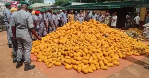 The Acting Area Controller of Ogun 1 Area Command of the Nigeria Customs Service, Oladipo Afeni handing over the seized cannabis sativa to the officials of the Idiroko Special Command of the NDLEA