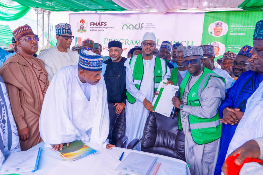 Kaduna, Kano, Katsina, Kebbi, Jigawa tighten grip on food production amid insecurity