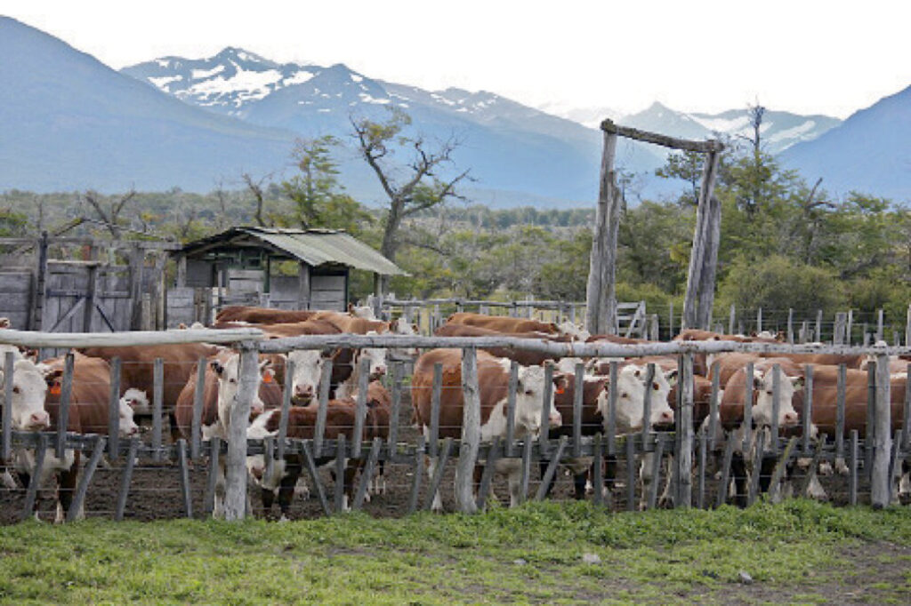 • Cattle ranch