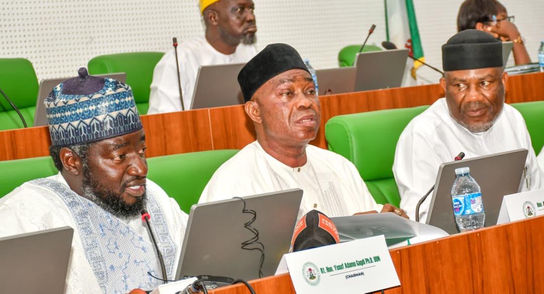 PFIPC: House panel orders police to produce Adeniyi Adeyemi on Wednesday