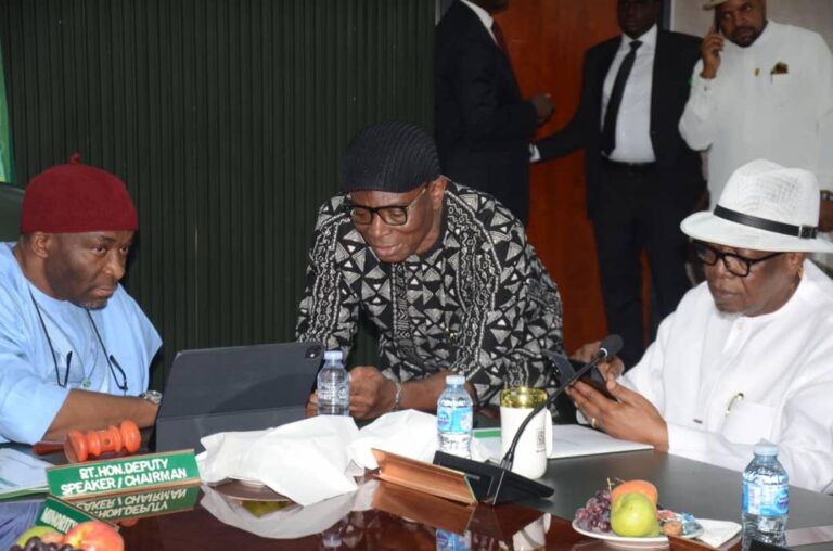 Reps begin consideration of Tinubu's state police bill