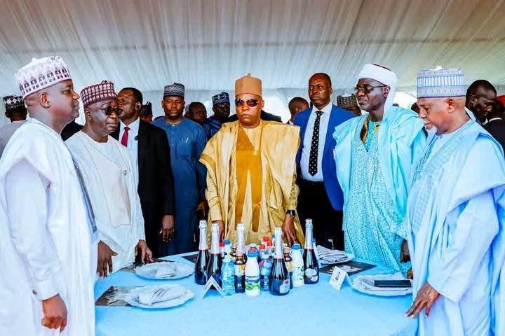 Honesty, patience, compassion strong pillars of marriage, VP Shettima tells gathering at Buratai daughter's wedding