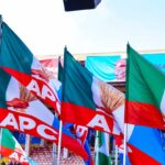 APC FLAGS