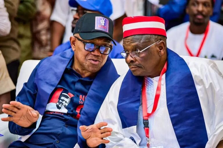 Obi-Kwankwaso ticket lacks cross-regional appeal to win presidential election, says APC North-West chieftain