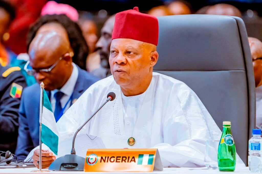 Vice-President Kashim Shettima