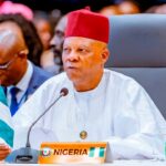 Vice-President Kashim Shettima
