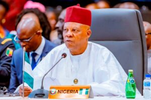 Vice-President Kashim Shettima