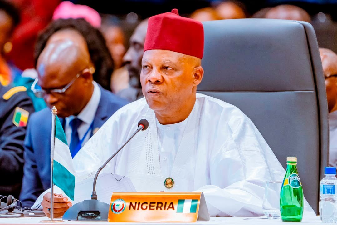 Vice-President Kashim Shettima