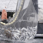 A fishing trawler