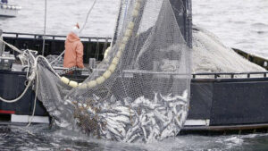 A fishing trawler
