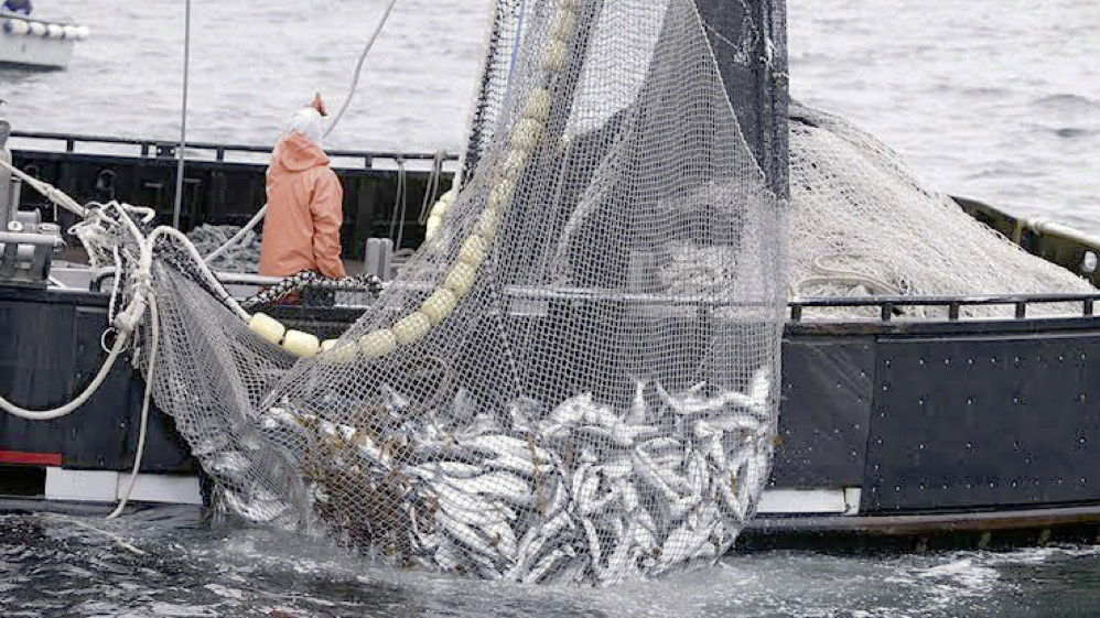A fishing trawler