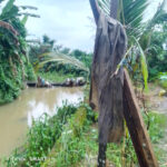 A section of the blocked drainage in Efut Efio Ene Community in Calabar