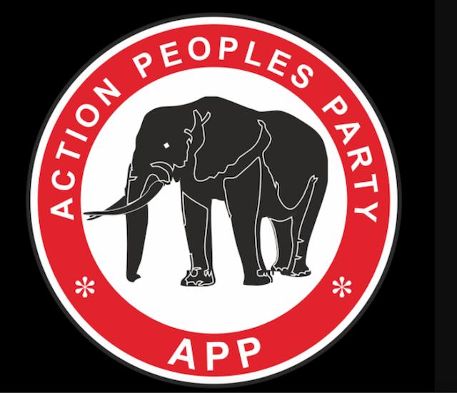 APP