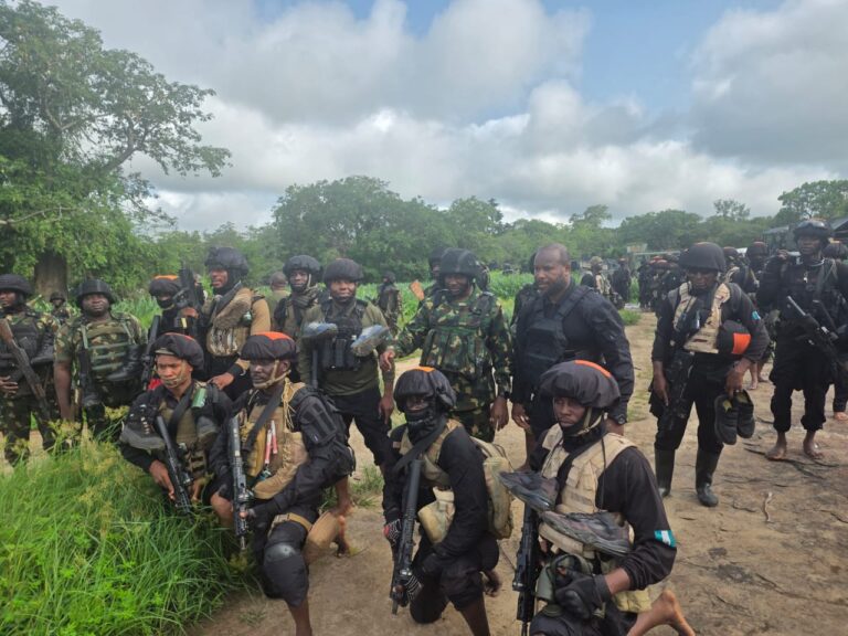 Counter-terrorism: Nigerians should be patient during rescue missions — Ngoshe