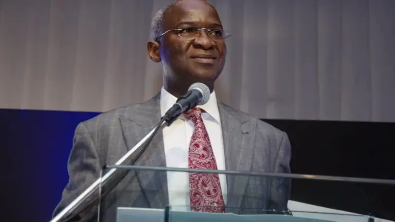 Nigeria's democracy still evolving, far from maturity — Fashola