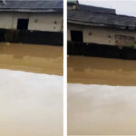 Flood