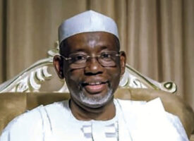 Gov. Namadi