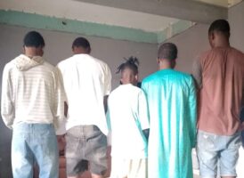 Police arrest cultists in Apapa