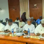 Northern governors back state police, renew push against insecurity
