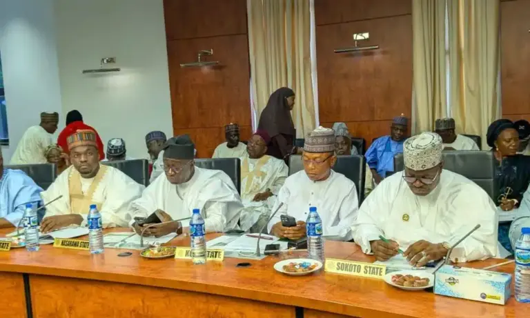 Northern governors back state police, renew push against insecurity