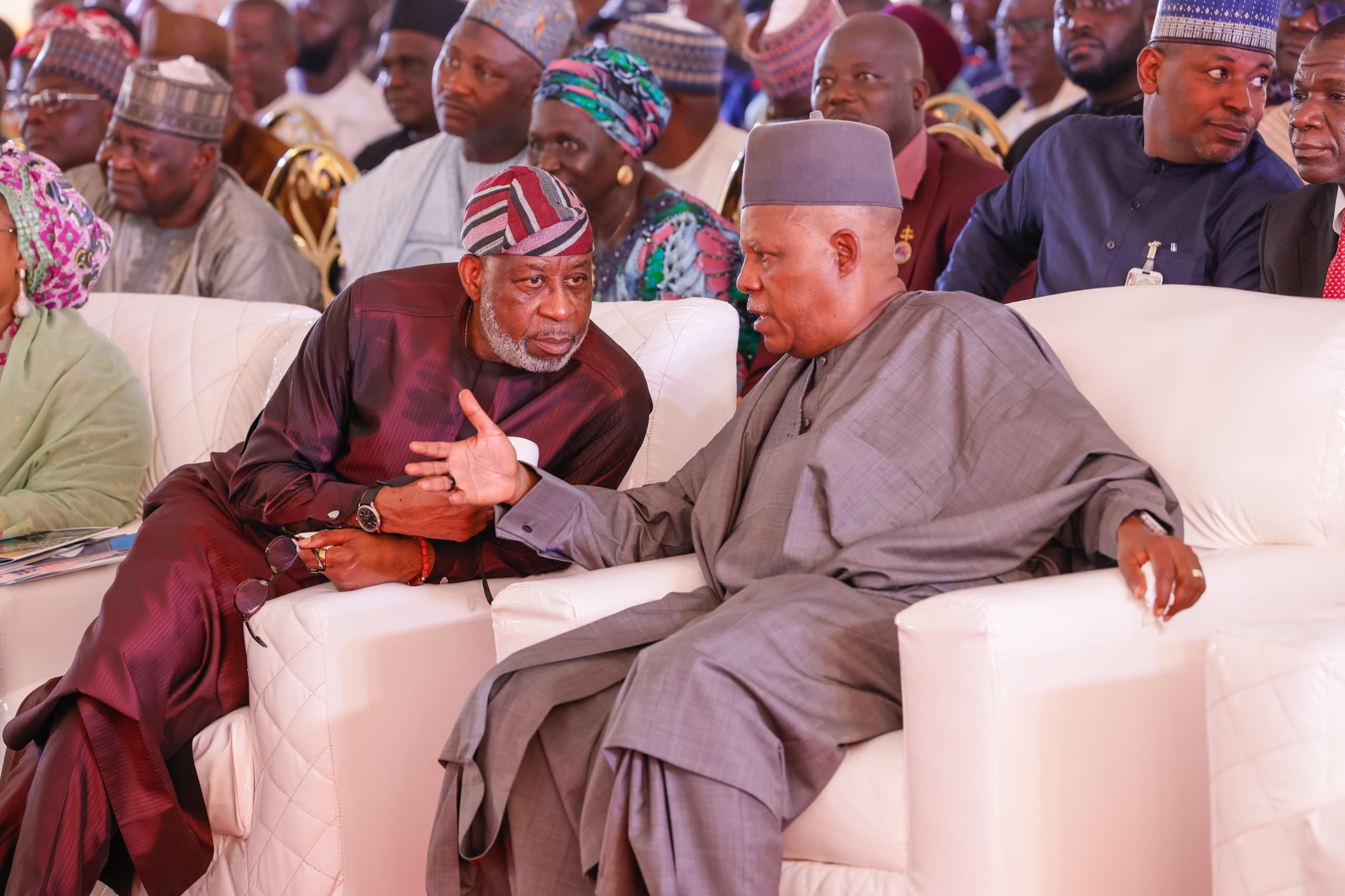 Tinubu pushes for value addition with lithium plant commissioning