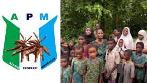 APM-Oyo schoolchildren