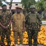 Nigerian Army Seizes illicit Drugs, handed over to NDLEA