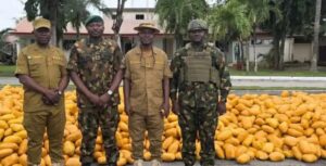 Nigerian Army Seizes illicit Drugs, handed over to NDLEA