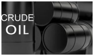 Oil