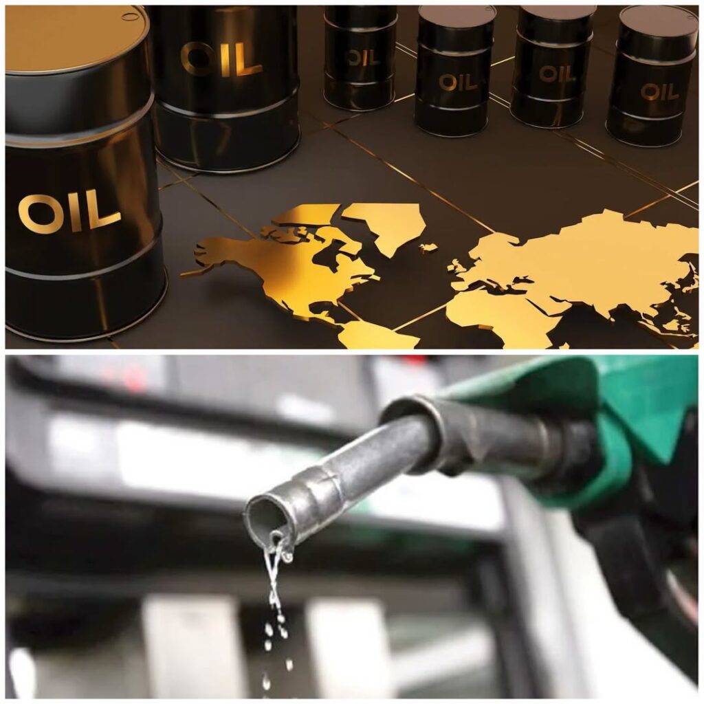Oil