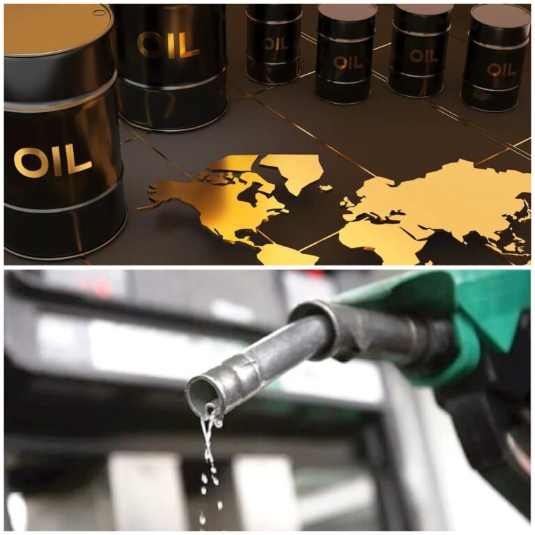 Oil