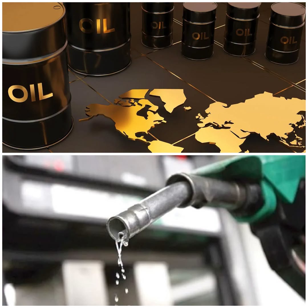 Oil