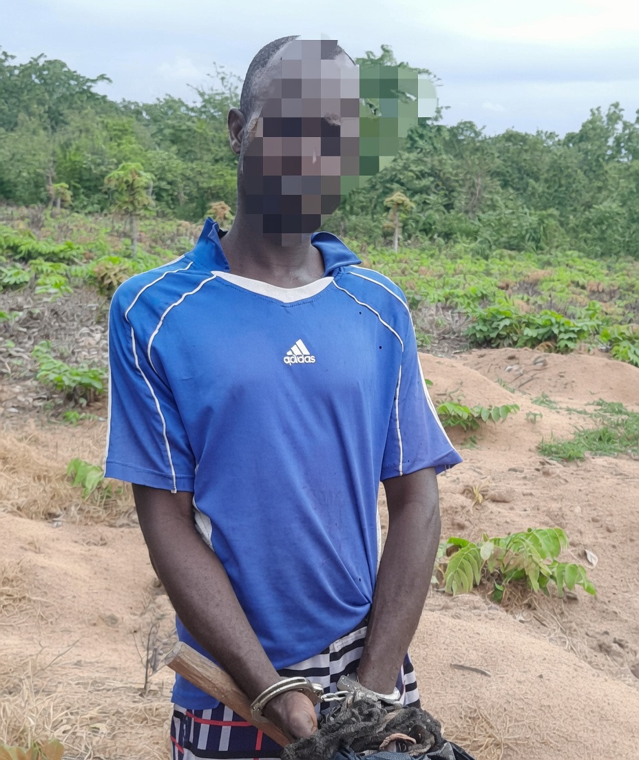 Oyo police arrest two suspected ritualists over alleged possession of human skull