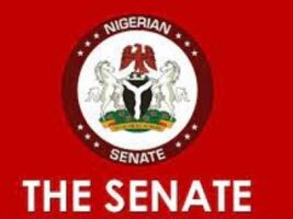 SENATE-4