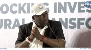 NDDC unveils $500m agric initiative to scale up rice, fish production, cassava cultivation
