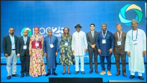 Nigeria’s oil output grows by 40,000bpd as Esso launches $1bn Usan project
