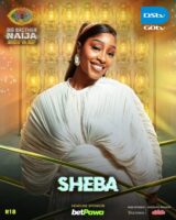 Meet BBNaija Season 11 housemates