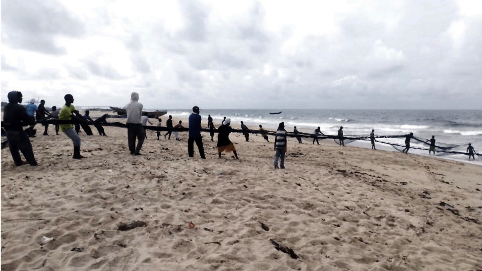 Team of fishmen pulling out the net from the sea