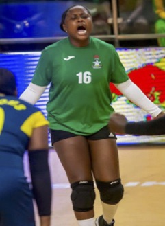 Volleyball League-
