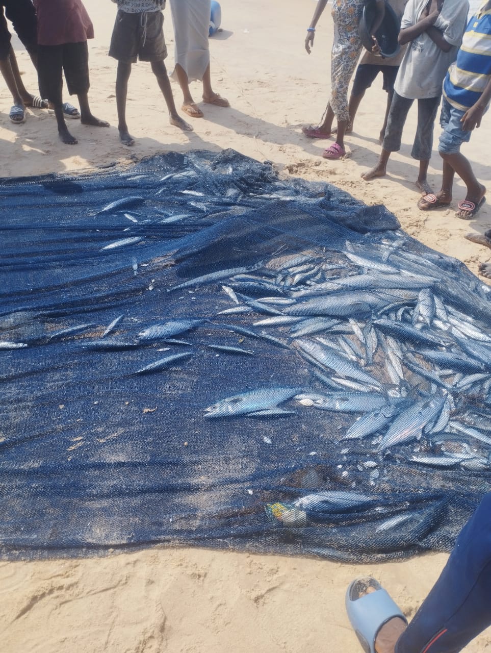 One sea, many hands: Inside Lagos community where fishing sustains life through unwritten division of labour