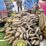 Yam