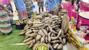 Yam