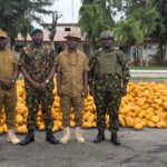 Army intercepts truck conveying illicit drugs along Lagos–Calabar coastal road