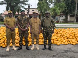 Army intercepts truck conveying illicit drugs along Lagos–Calabar coastal road