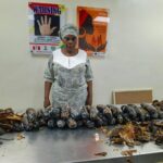 NDLEA arrests 67-year-old grandma with 13kg cocaine hidden in fake plantains