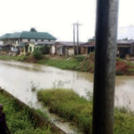 site