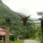 Obudu Ranch Resort in Cross River State