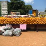 Customs intercepts N3.24bn worth of hard drugs, elephant tusks, others