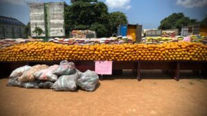 Customs intercepts N3.24bn worth of hard drugs, elephant tusks, others